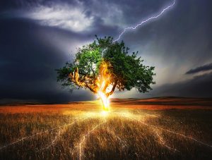 A bolt of lightning hits a tree in open land. Not a DSEAR risk in this instance.